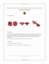 2.71 Ct.Tw.Total Carat Weight Tourmaline Pair from Mozambique Appraisal