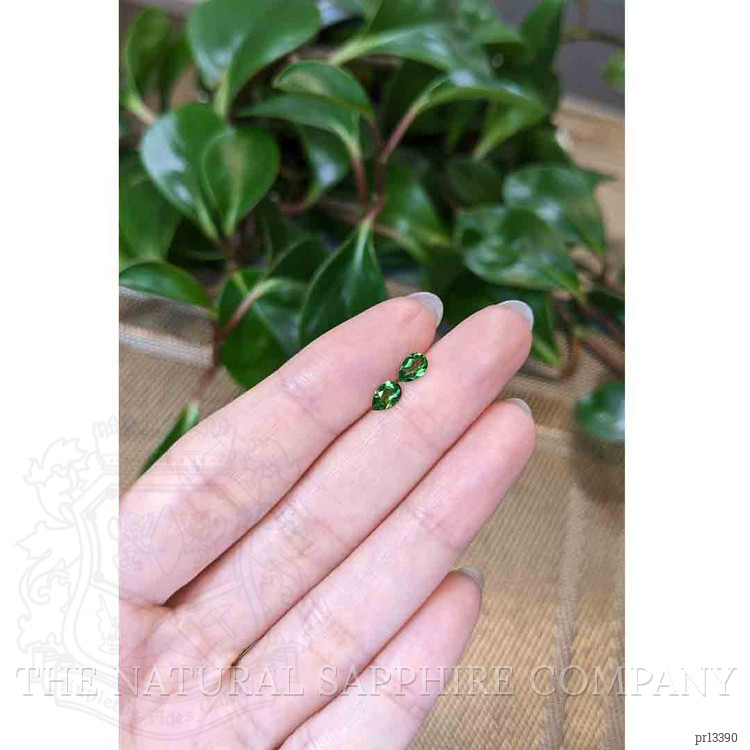 0.63 Ct.Tw. Tsavorite Garnet Pair from Tanzania