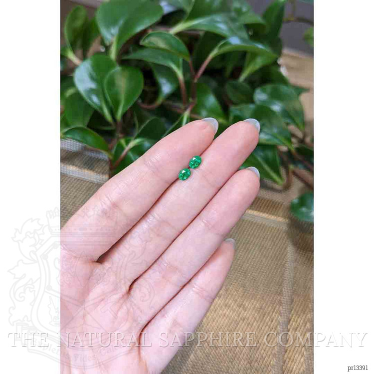 0.62 Ct.Tw. Emerald Pair from Zambia
