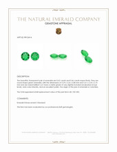 0.88 Ct.Tw.Total Carat Weight Emerald Pair from Colombia Appraisal