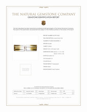 26.97&nbsp;Ct.Tw.Total Carat Weight Citrine Pair from Brazil Scan Report