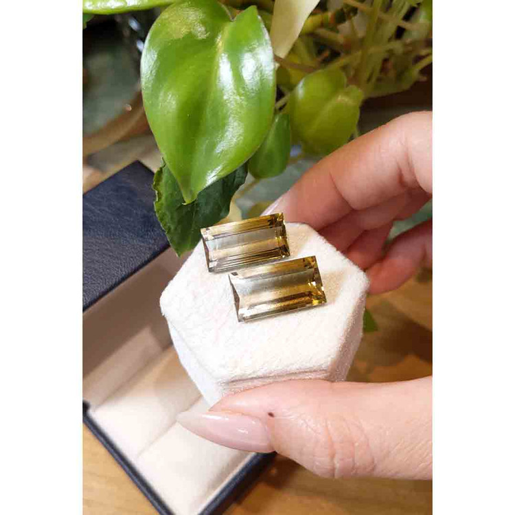 26.97 Ct.Tw. Citrine Pair from Brazil