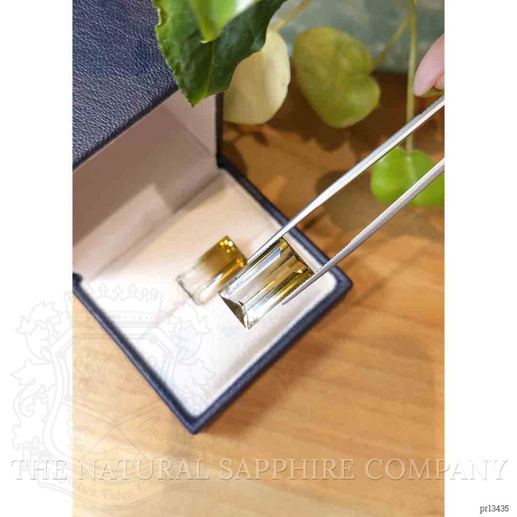 26.97 Ct.Tw. Citrine Pair from Brazil