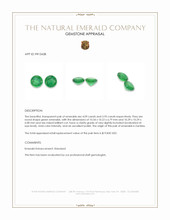 8.02 Ct.Tw.Total Carat Weight Emerald Pair from Zambia Appraisal
