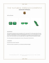 6.79 Ct.Tw.Total Carat Weight Emerald Pair from Zambia Appraisal