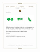 2.59 Ct.Tw.Total Carat Weight Emerald Pair from Colombia Appraisal