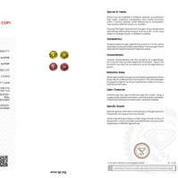 1.77 Ct.Tw.Total Carat Weight Garnet Pair from Tanzania Scan Report