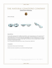 3.84&nbsp;Ct.Tw.Total Carat Weight Aquamarine Pair from Brazil Appraisal