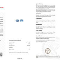 3.84&nbsp;Ct.Tw.Total Carat Weight Aquamarine Pair from Brazil Scan Report
