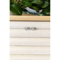 3.84 Ct.Tw.Total Carat Weight Aquamarine Pair from Brazil Life Style