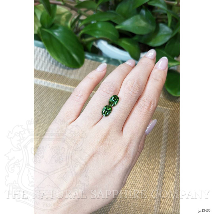 4.11 Ct.Tw. Tourmaline Pair from Mozambique