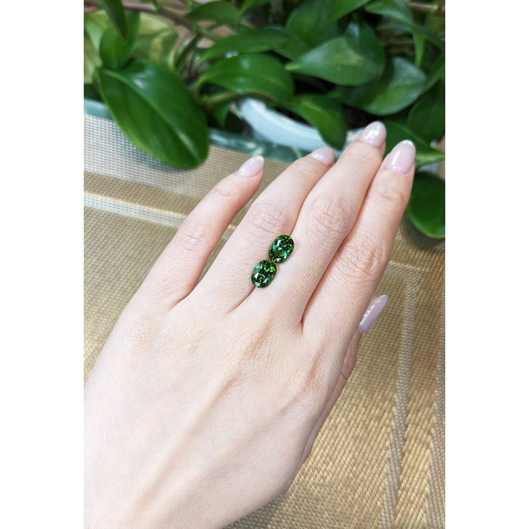 4.11 Ct.Tw. Tourmaline Pair from Mozambique