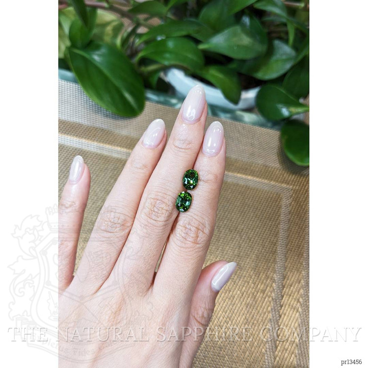 4.11 Ct.Tw. Tourmaline Pair from Mozambique