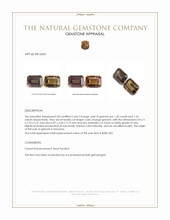 2.46&nbsp;Ct.Tw.Total Carat Weight Garnet Pair from Tanzania Appraisal