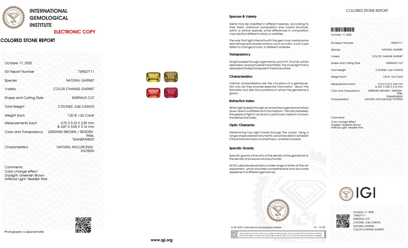 2.46 Ct.Tw. Garnet Pair from Tanzania