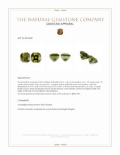 2.45 Ct.Tw.Total Carat Weight Tourmaline Pair from Mozambique Appraisal