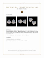 7.08&nbsp;Ct.Tw.Total Carat Weight Tourmaline Pair from Brazil Appraisal