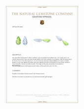 2.46 Ct.Tw.Total Carat Weight Paraiba Tourmaline Pair from Mozambique Appraisal