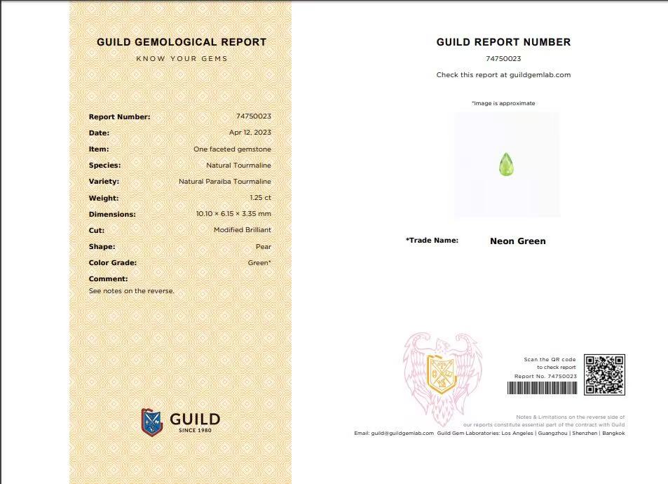 2.46 Ct.Tw. Paraiba Tourmaline Pair from Mozambique