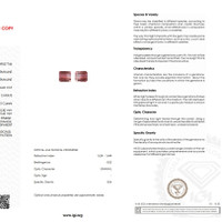 5.79&nbsp;Ct.Tw.Total Carat Weight Tourmaline Pair from Mozambique Scan Report