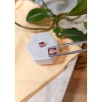 5.79&nbsp;Ct.Tw.Total Carat Weight Tourmaline Pair from Mozambique Life Style