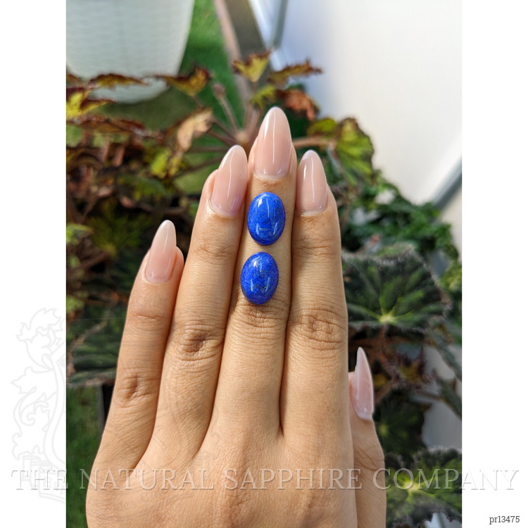11.36 Ct.Tw. Cabochon Lapis Pair from Afghanistan