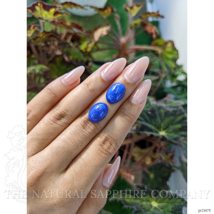 11.36 Ct.Tw. Cabochon Lapis Pair from Afghanistan