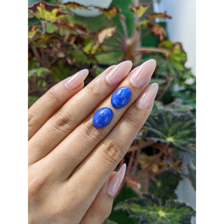 11.36 Ct.Tw. Cabochon Lapis Pair from Afghanistan