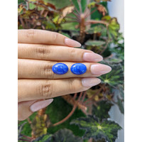 11.36&nbsp;Ct.Tw.Total Carat Weight Cabochon Lapis Pair from Afghanistan Life Style