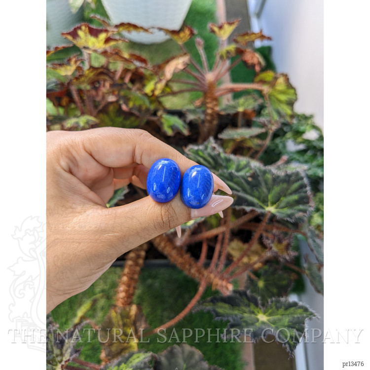 43.69 Ct.Tw. Cabochon Lapis Pair from Afghanistan