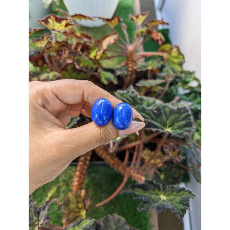 43.69 Ct.Tw. Cabochon Lapis Pair from Afghanistan
