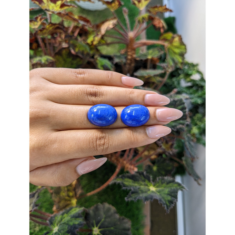 43.69 Ct.Tw. Cabochon Lapis Pair from Afghanistan