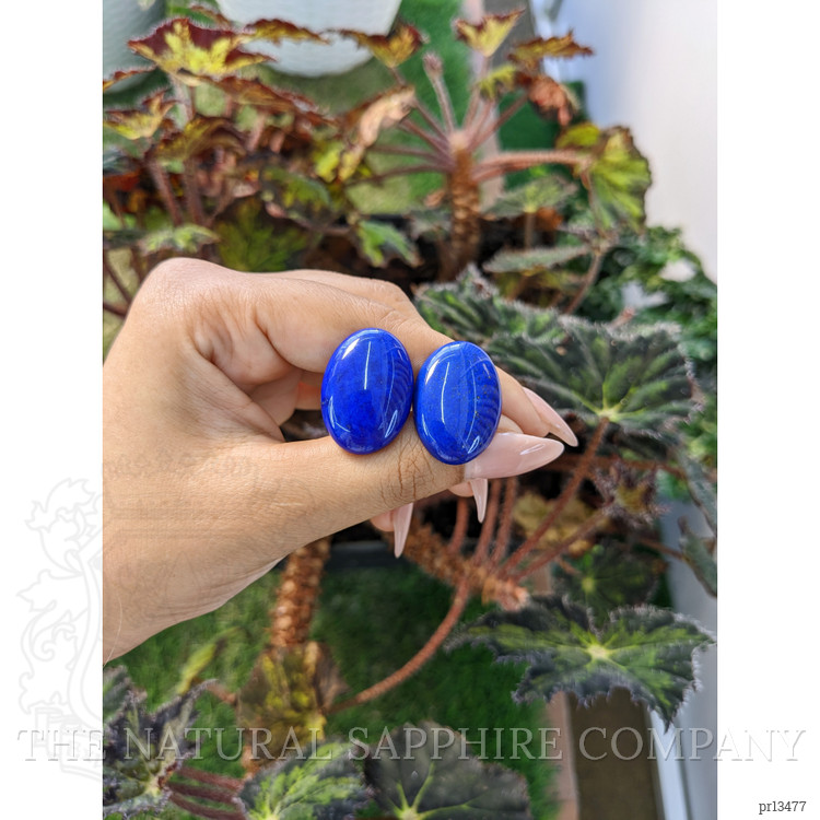 41.22 Ct.Tw. Cabochon Lapis Pair from Afghanistan