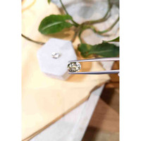 3.42 Ct.Tw.Total Carat Weight Heliodor Pair from Pakistan Life Style