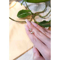 3.42 Ct.Tw.Total Carat Weight Heliodor Pair from Pakistan Life Style