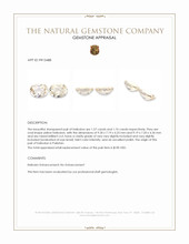 3.33 Ct.Tw.Total Carat Weight Heliodor Pair from Pakistan Appraisal