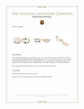 3.65&nbsp;Ct.Tw.Total Carat Weight Heliodor Pair from Pakistan Appraisal