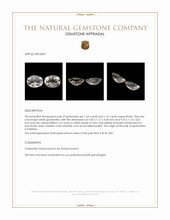 3.40 Ct.Tw.Total Carat Weight Goshenite Pair from Pakistan Appraisal