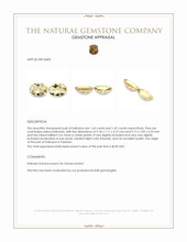 3.33 Ct.Tw.Total Carat Weight Yellow Heliodor Pair from Pakistan Appraisal