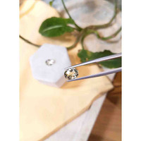 3.41&nbsp;Ct.Tw.Total Carat Weight Heliodor Pair from Pakistan Life Style