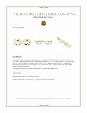 3.64&nbsp;Ct.Tw.Total Carat Weight Heliodor Pair from Pakistan Appraisal