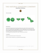 1.20 Ct.Tw.Total Carat Weight Tsavorite Garnet Pair from Madagascar Appraisal
