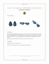 4.06 Ct.Tw.Total Carat Weight Blue Sapphire Pair from Ceylon (Sri Lanka) Appraisal