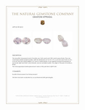 7.48 Ct.Tw.Total Carat Weight Kunzite Pair from Brazil Appraisal