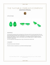 0.71 Ct.Tw.Total Carat Weight Emerald Pair from Afghanistan Appraisal