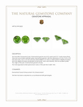 0.41 Ct.Tw.Total Carat Weight Yellowish Green Demantoid Garnet Pair from Russia Appraisal