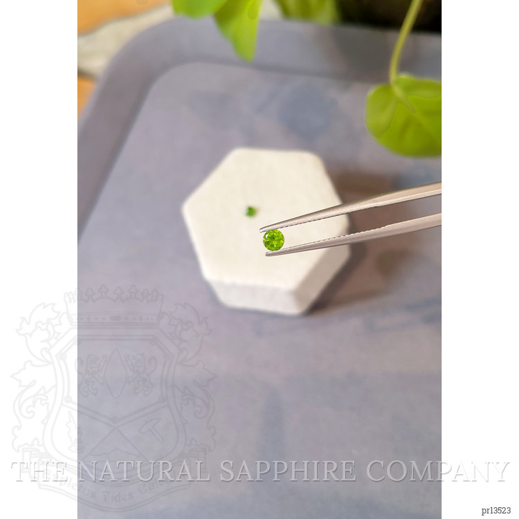 0.41 Ct.Tw. Yellowish Green Demantoid Garnet Pair from Russia