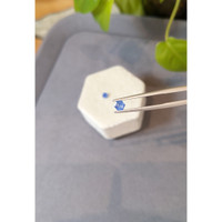 0.71&nbsp;Ct.Tw.Total Carat Weight Blue Sapphire Pair from Ceylon (Sri Lanka) Life Style