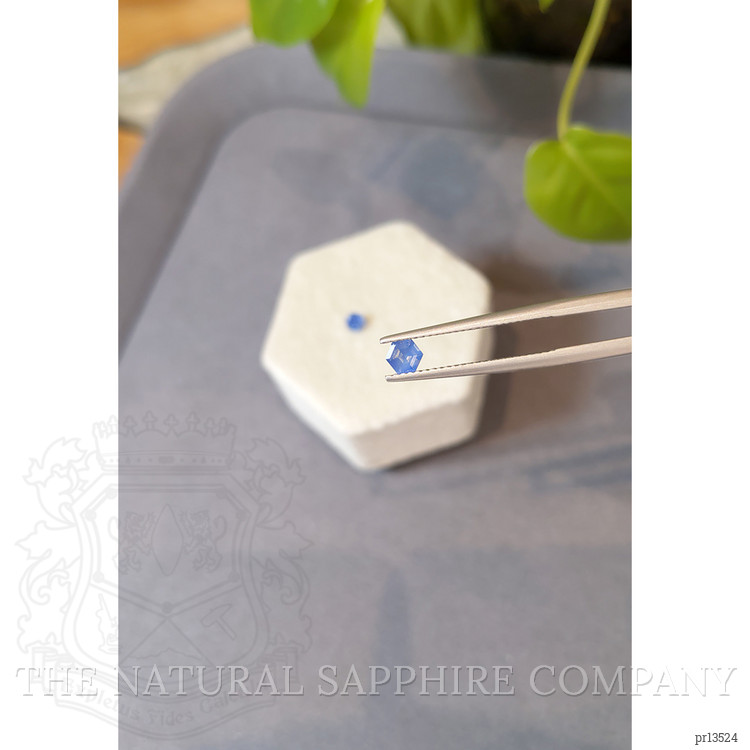 0.71 Ct.Tw. Blue Sapphire Pair from Ceylon (Sri Lanka)