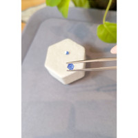 0.71&nbsp;Ct.Tw.Total Carat Weight Blue Sapphire Pair from Ceylon (Sri Lanka) Life Style